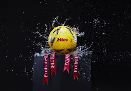 3377官网-美依礼芽青鸟