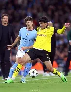 scl90测试详细指南